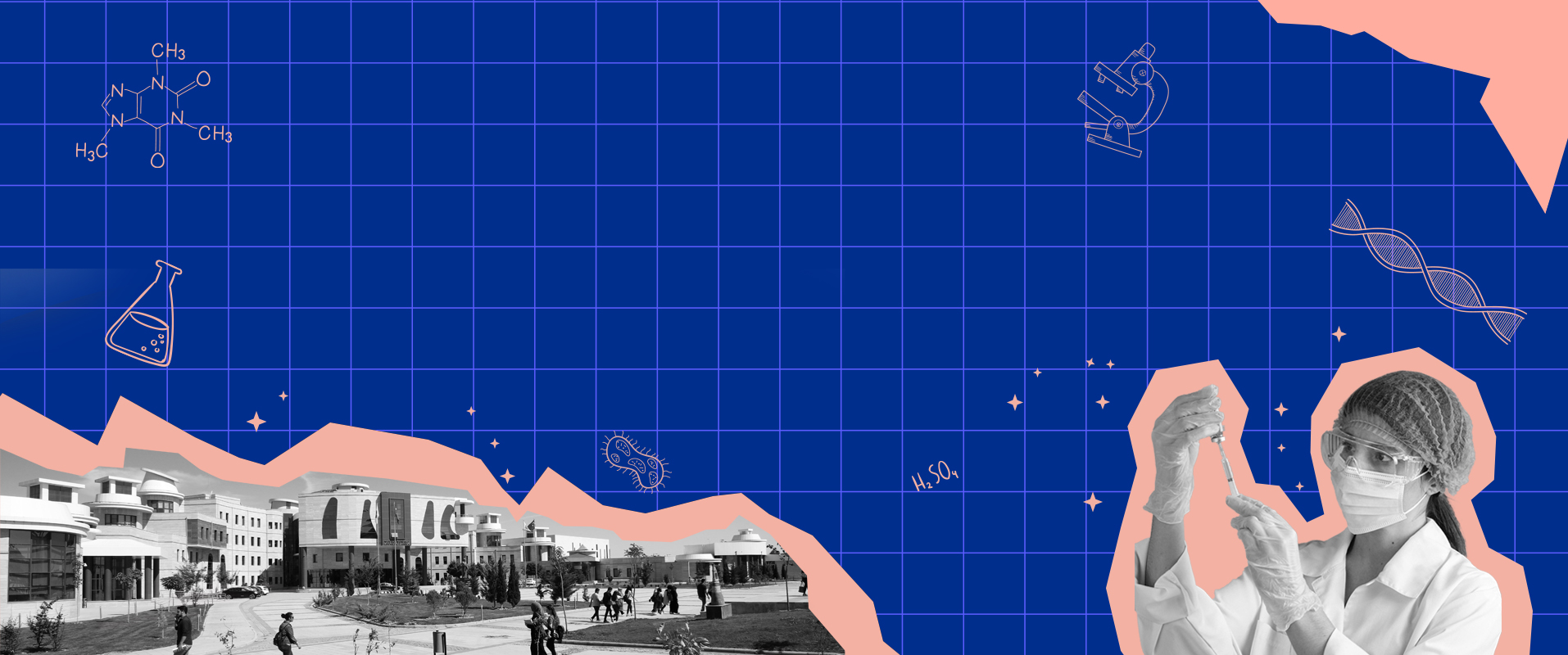 Akademik Araştırma