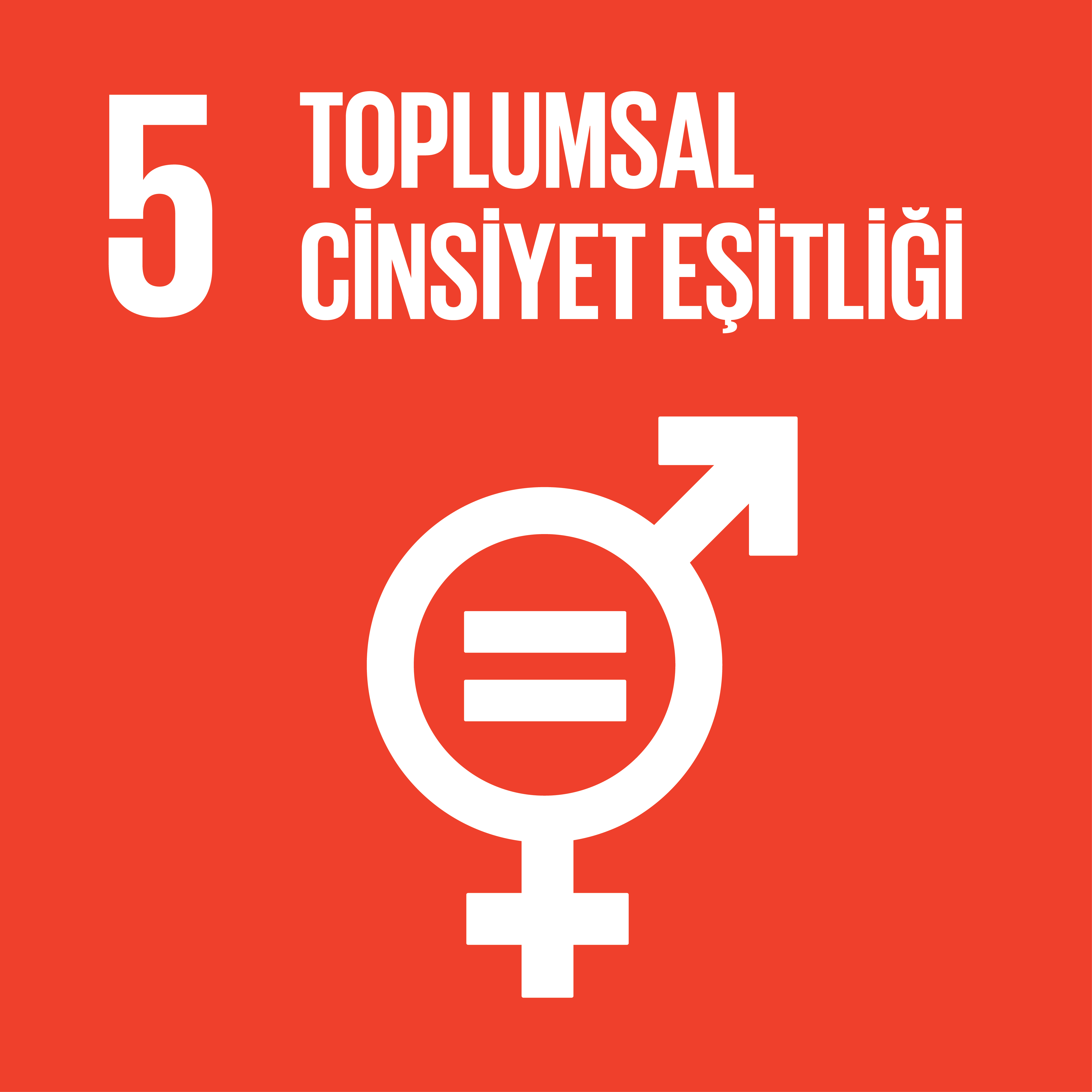SDG 5